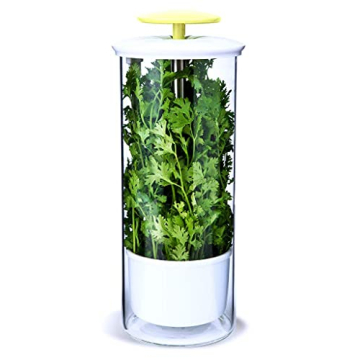 NOVART XXL Herb Keeper - Glass Herb Saver to Keep Greens Fresh for Weeks