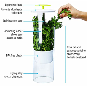 NOVART XXL Herb Keeper for Fresh Herbs and Greens