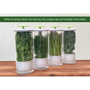 NOVART XXL Herb Keeper for Fresh Herbs and Greens
