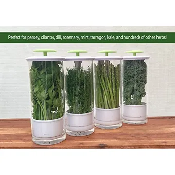 NOVART XXL Herb Keeper for Fresh Herbs and Greens