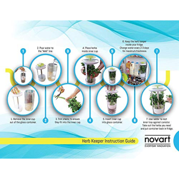 NOVART XXL Herb Keeper for Fresh Herbs and Greens