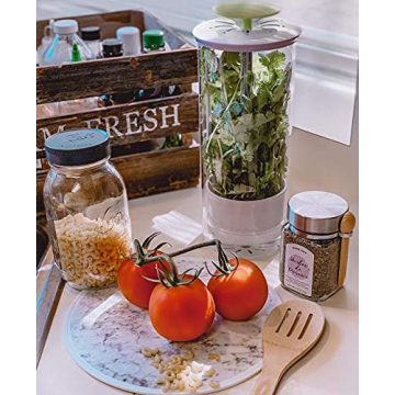 NOVART XXL Herb Keeper for Fresh Herbs and Greens