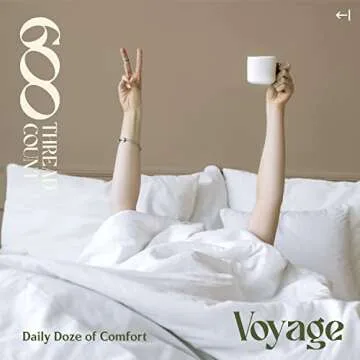 Luxurious 600 Thread Count Cotton Queen Sheets Set