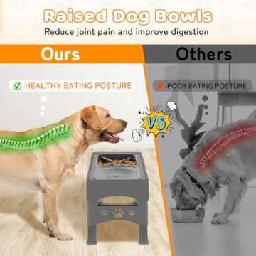 Elevated Slow Feeder Dog Bowls - No Splash Dog Water Bowl