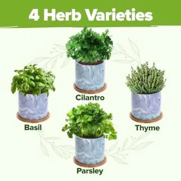 HOME GROWN Indoor Herb Garden Kit w/Glazed Ceramic Pot - Easy-to-Grow Kitchen Window Gardening Starter Set - Unique Housewarming Gift for Women, Mom, Gardeners, Friend, Her, Mother