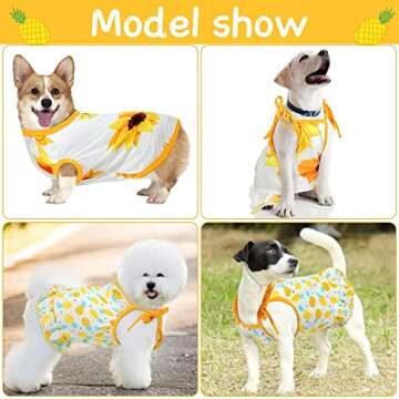 Frienda 4 Pieces Pet Clothes Set Include 2 Pieces Cute Pet Dress Lovely Dog Dress and 2 Pcs Breathable Dog T Shirt Puppy Clothes(Pineapple, Sunflower,X-Large)