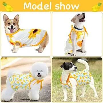 Frienda 4 Pieces Pet Clothes Set Include 2 Pieces Cute Pet Dress Lovely Dog Dress and 2 Pcs Breathable Dog T Shirt Puppy Clothes(Pineapple, Sunflower,X-Large)