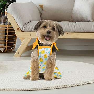 Frienda 4 Pieces Pet Clothes Set Include 2 Pieces Cute Pet Dress Lovely Dog Dress and 2 Pcs Breathable Dog T Shirt Puppy Clothes(Pineapple, Sunflower,X-Large)