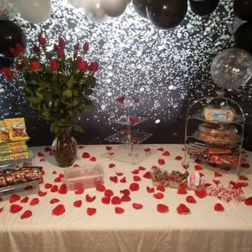 Mocsicka Elegant Black and Silver Backdrop for Events