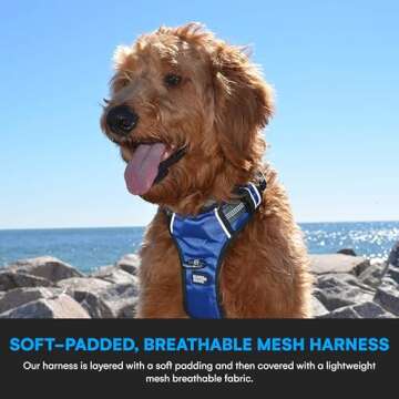 Black Rhino - The Comfort Dog Harness with Mesh Padded Vest for Small - Large Breeds | Adjustable | Reflective | 2 Leash Attachments on Chest & Back - Neoprene Padded Training Handle (Large, Blue/Gr)