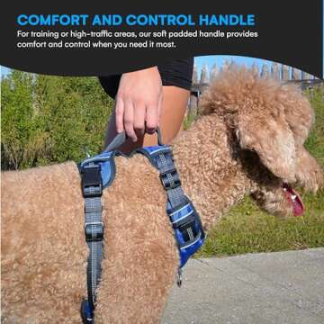 Black Rhino - The Comfort Dog Harness with Mesh Padded Vest for Small - Large Breeds | Adjustable | Reflective | 2 Leash Attachments on Chest & Back - Neoprene Padded Training Handle (Large, Blue/Gr)
