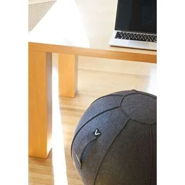 Vivora Luno Premium Ergonomic Sitting Ball Chair, Canvas & Felt for Home Offices, Posture Improvement, Balance Training, Yoga Ball