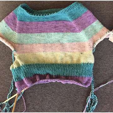 Caron Big Cakes Self Striping Yarn 603 yd/551 m 10.5oz/300 g (Boysenberry) (Boysenberry)