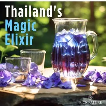 Picknature Butterfly Pea Flower Tea | Organic & Colorful