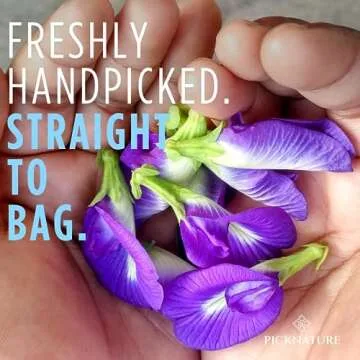 Picknature Butterfly Pea Flower Tea | Organic & Colorful