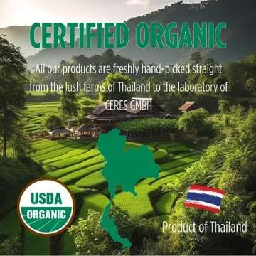 Picknature Butterfly Pea Flower Tea | Organic & Colorful