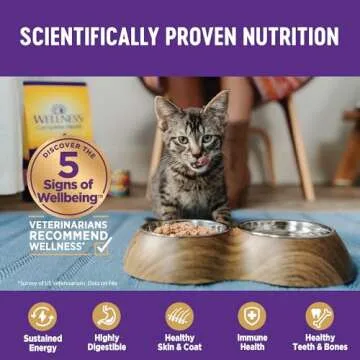 Wellness Complete Health Grain-Free Chicken Entrée Wet Kitten Food - Natural Ingredients with Real Chicken, Brain Development DHA, Essential Fatty Acids and Eye Health Taurine, 3 oz cans (Pack of 24)