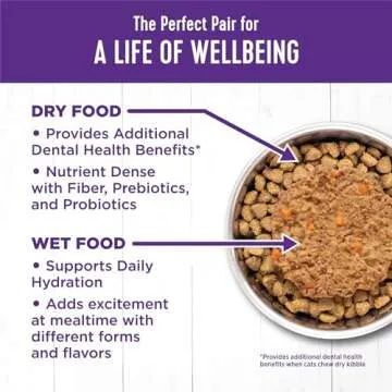 Wellness Complete Health Grain-Free Chicken Entrée Wet Kitten Food - Natural Ingredients with Real Chicken, Brain Development DHA, Essential Fatty Acids and Eye Health Taurine, 3 oz cans (Pack of 24)