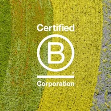 Davines OI All in One Milk Hair Detangler & Heat Protector