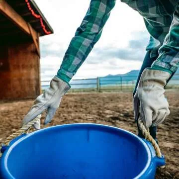 Wells Lamont Women's Water-Resistant Leather Work Gloves