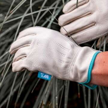 Wells Lamont Women's Water-Resistant Leather Work Gloves | Puncture Resistant, Reinforced, HydraHyde | Large (1167L) , Tan