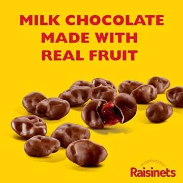 Raisinets 15 Pack Bulk Chocolate-Covered Raisins