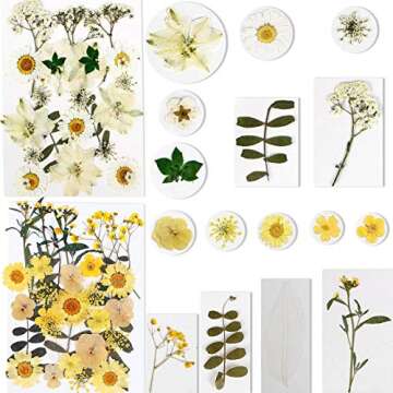 BIHRTC 100PCS Dried Flowers for Resin Real Dry Flower Natural Pressed Died Leaves Sunflowers Chrysanthemum Resin Flowers Small Colorful Pressed Flowers Daisies for Candle Jewelry Nail Pendant Making