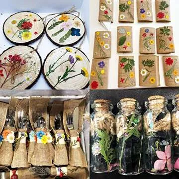 Explore BIHRTC 100PCS Dried Pressed Flowers for Crafts