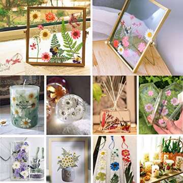 BIHRTC 100PCS Dried Flowers for Resin Real Dry Flower Natural Pressed Died Leaves Sunflowers Chrysanthemum Resin Flowers Small Colorful Pressed Flowers Daisies for Candle Jewelry Nail Pendant Making