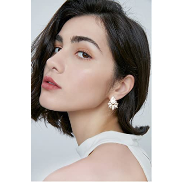 FENBORY Rhinestone Cluster Drop Earrings for Women