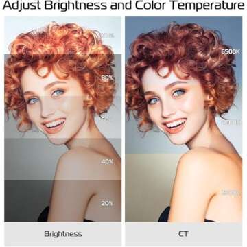 ULANZI VL66 Bi-Color Adjustable Rechargeable 2500-6500K Mini Video Portable Light with 2000mAh Batte...