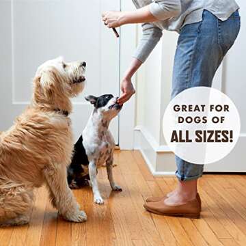 Rocco & Roxie Dog Treats for Small, Medium & Large Breed - Soft Treats for Senior Dogs & Puppies - Beef Jerky Dog Sticks - Best Dog Training Puppy Treats & Snacks for Happy, Healthy Dogs - 1lb