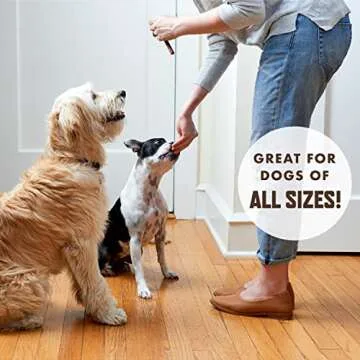 Rocco & Roxie Dog Treats for Small, Medium & Large Breed - Soft Treats for Senior Dogs & Puppies - Beef Jerky Dog Sticks - Best Dog Training Puppy Treats & Snacks for Happy, Healthy Dogs - 1lb