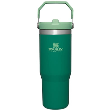 Stanley IceFlow Tumbler 30oz for Cold Drinks