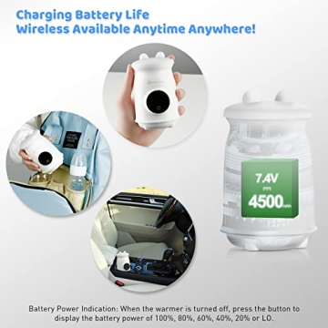 Portable Bottle Warmer for Breastmilk and Formula