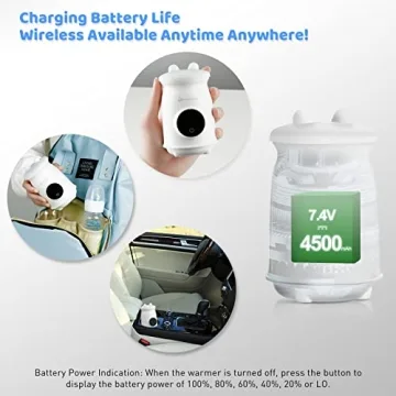 Portable Bottle Warmer for Breastmilk and Formula