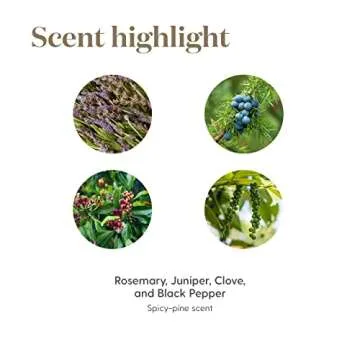 Young Living En-R-Gee Essential Oil 15ml - Invigorating Aromatherapy - Boost Energy, Vitality, and Mental Focus - Topical & Aromatic - Energize Your Body and Mind