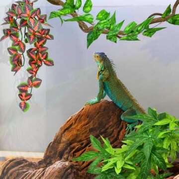 Vibrant KATUMO Reptile Plants for All Pet Habitats