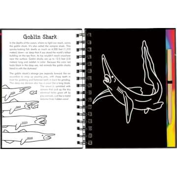 Scratch & Sketch Sharks (Trace Along)