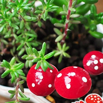UTENEW Cute Mushroom Miniatures for Fascinating Crafts
