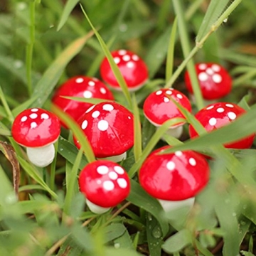 UTENEW Cute Mushroom Miniatures for Fascinating Crafts