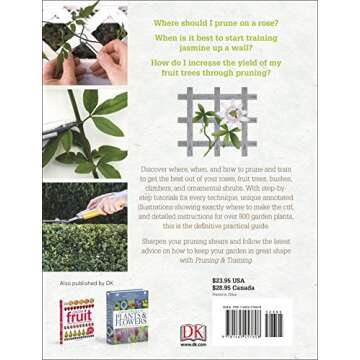 Pruning and Training, Revised New Edition: What, When, and How to Prune