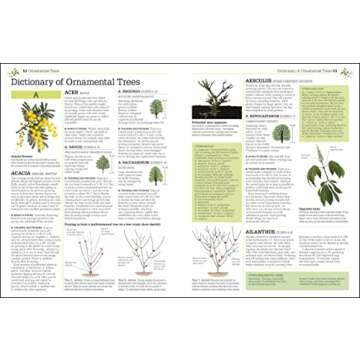 Pruning and Training, Revised New Edition: What, When, and How to Prune