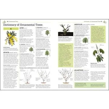 Pruning and Training, Revised New Edition: What, When, and How to Prune