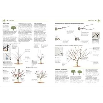 Pruning and Training, Revised New Edition: What, When, and How to Prune