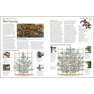 Pruning and Training, Revised New Edition: What, When, and How to Prune