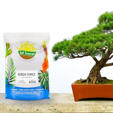 Horticultural Bonsai Pumice for Healthier Plants 4 Quarts