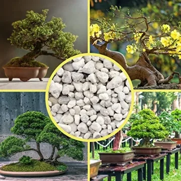 Horticultural Bonsai Pumice for Healthier Plants 4 Quarts