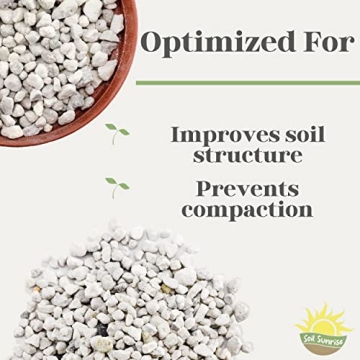 Horticultural Bonsai Pumice for Healthier Plants 4 Quarts