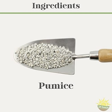 Horticultural Bonsai Pumice for Healthier Plants 4 Quarts